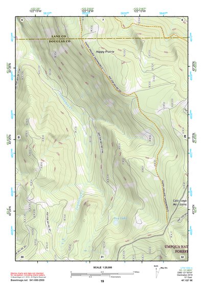 43122SE Page 19 Diamond Lake Topo Preview 1