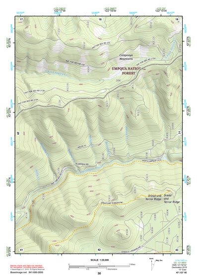 43122SE Page 30 Diamond Lake Topo Preview 1