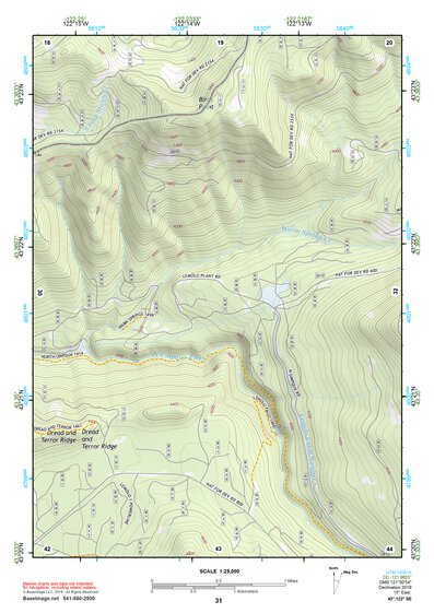 43122SE Page 31 Diamond Lake Topo Preview 1