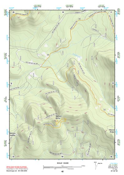 43122SE Page 42 Diamond Lake Topo Preview 1