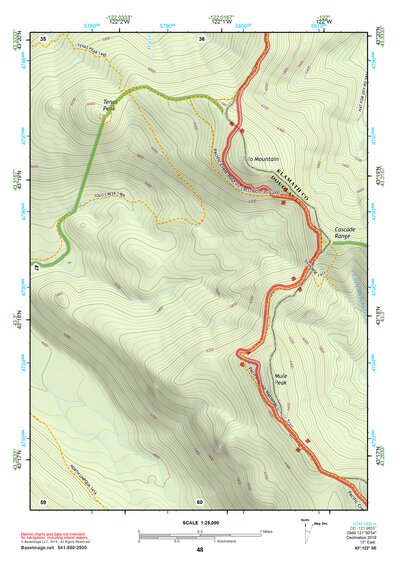 43122SE Page 48 Diamond Lake Topo Preview 1