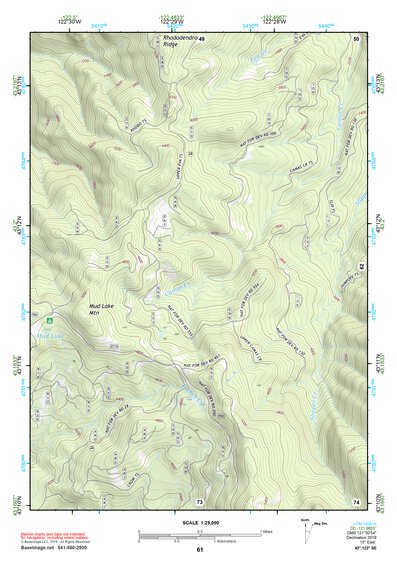 43122SE Page 61 Diamond Lake Topo Preview 1