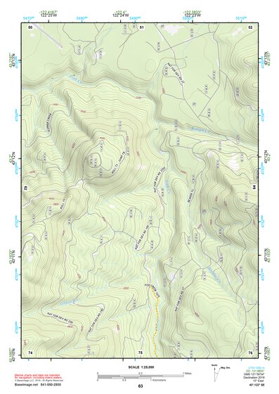 43122SE Page 63 Diamond Lake Topo Preview 1