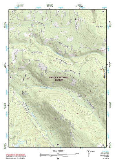 43122SE Page 65 Diamond Lake Topo Preview 1