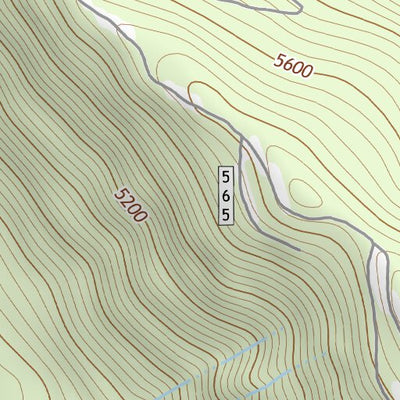 43122SE Page 65 Diamond Lake Topo Preview 3