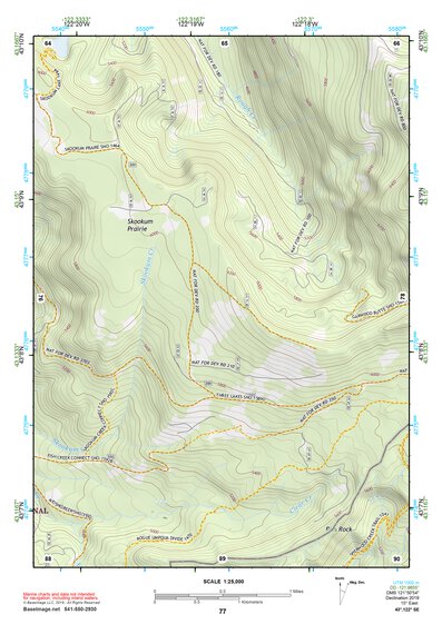 43122SE Page 77 Diamond Lake Topo Preview 1