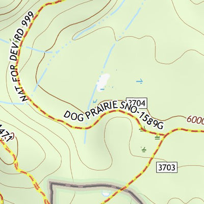 43122SE Page 78 Diamond Lake Topo Preview 2