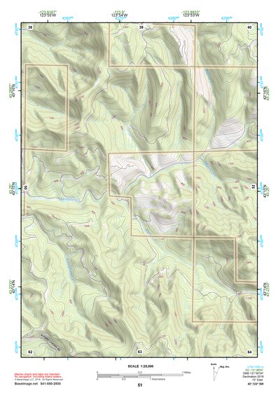43123SW Page 51 Roseburg Topo Preview 1