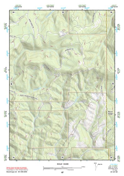 43123SW Page 67 Roseburg Topo Preview 1
