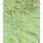 (44074a1) Page 081 Tupper Lake Preview 1