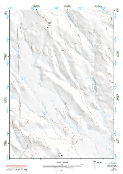 44102NW Page 4 Camp Creek Topo Preview 1