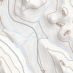 44106SE Page 2 Buffalo Topo Preview 2