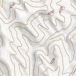 44106SE Page 8 Buffalo Topo Preview 3