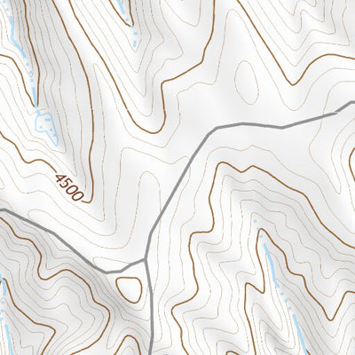 44106SE Page 59 Buffalo Topo Preview 2