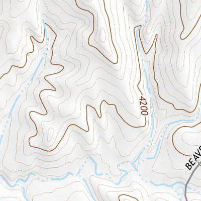 44106SE Page 82 Buffalo Topo Preview 2