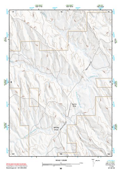 44106SE Page 90 Buffalo Topo Preview 1