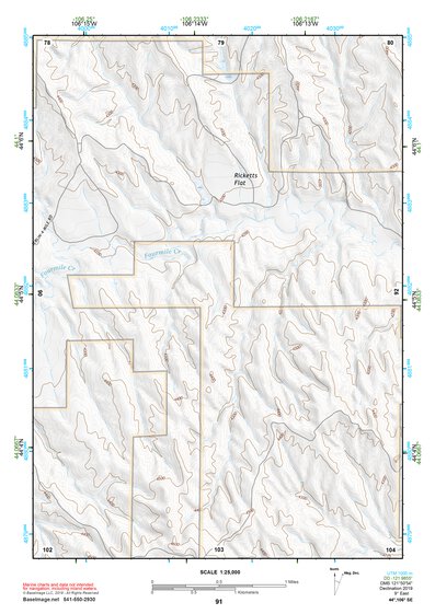 44106SE Page 91 Buffalo Topo Preview 1