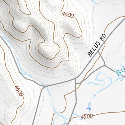 44106SW Page 8 Buffalo Topo Preview 2