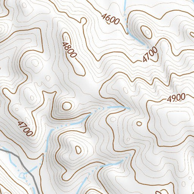 44106SW Page 9 Buffalo Topo Preview 2