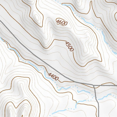 44106SW Page 10 Buffalo Topo Preview 2