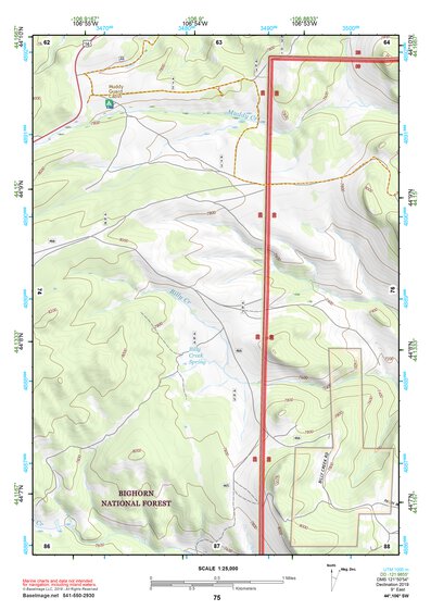 44106SW Page 75 Buffalo Topo Preview 1