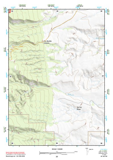 44106SW Page 77 Buffalo Topo Preview 1