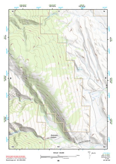 44106SW Page 89 Buffalo Topo Preview 1