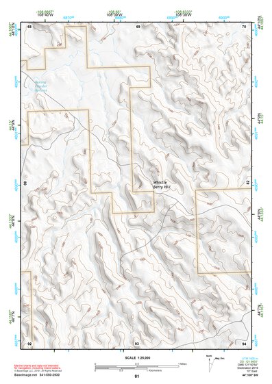 44108SW Page 81 Basin Topo Preview 1