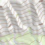 44109NE Page 77 Cody Topo Preview 3