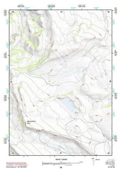 44109NE Page 79 Cody Topo Preview 1