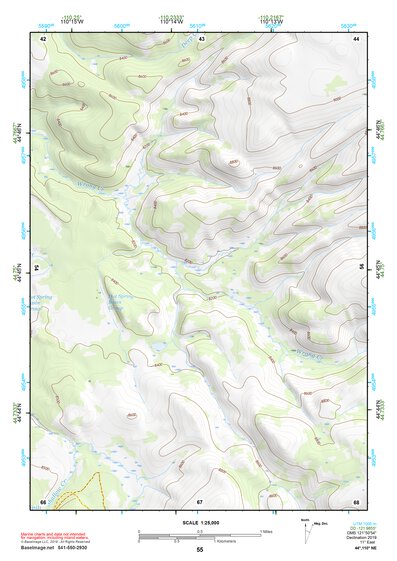 44110NE Page 55 Yellowstone National Park Topo Preview 1