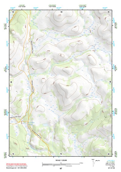 44110NE Page 67 Yellowstone National Park Topo Preview 1