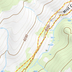 44110NE Page 82 Yellowstone National Park Topo Preview 2