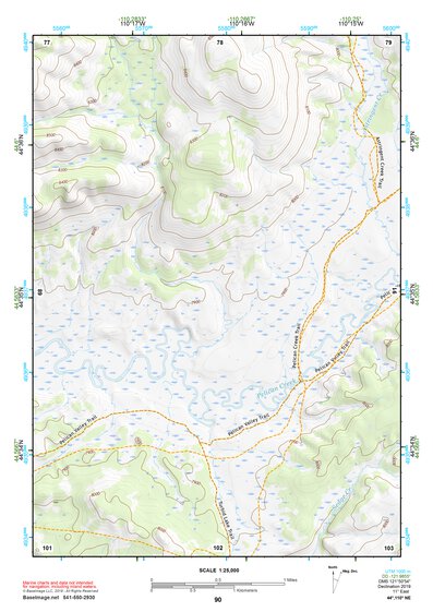 44110NE Page 90 Yellowstone National Park Topo Preview 1