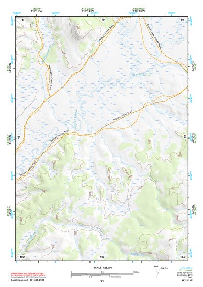 44110NE Page 91 Yellowstone National Park Topo Preview 1