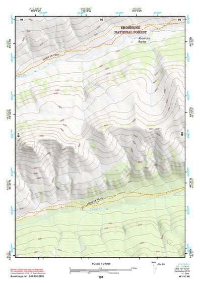 44110NE Page 107 Yellowstone National Park Topo Preview 1