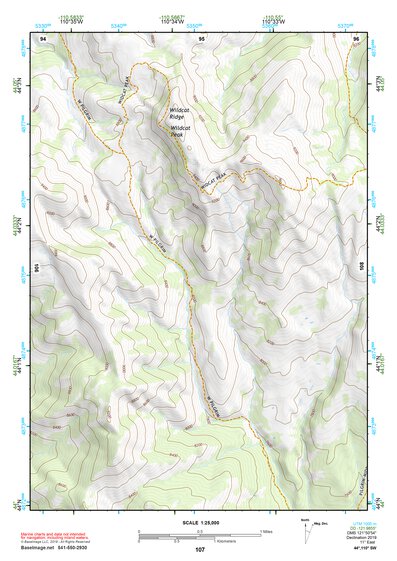 44110SW Page 107 Yellowstone National Park Topo Preview 1