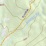 44110SW Page 108 Yellowstone National Park Topo Preview 3