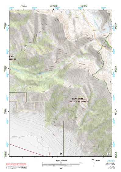44111NE Page 25 Hebgen Lake Topo Preview 1