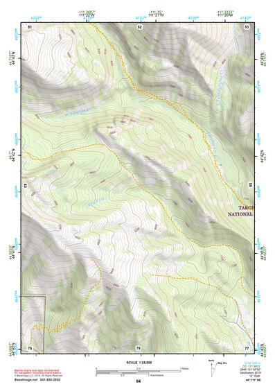 44111NE Page 64 Hebgen Lake Topo Preview 1
