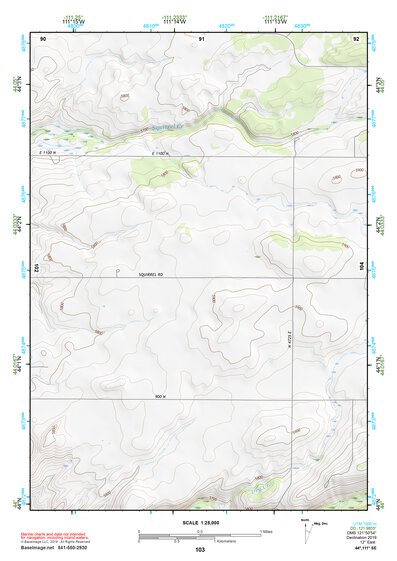 44111SE Page 103 Ashton Topo Preview 1