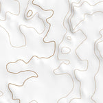 44111SW Page 29 Ashton Topo Preview 2