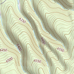 44111SW Page 36 Ashton Topo Preview 3