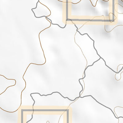 44111SW Page 79 Ashton Topo Preview 2