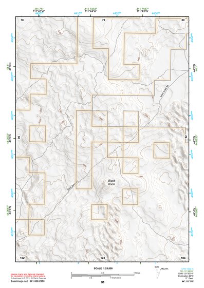 44111SW Page 91 Ashton Topo Preview 1