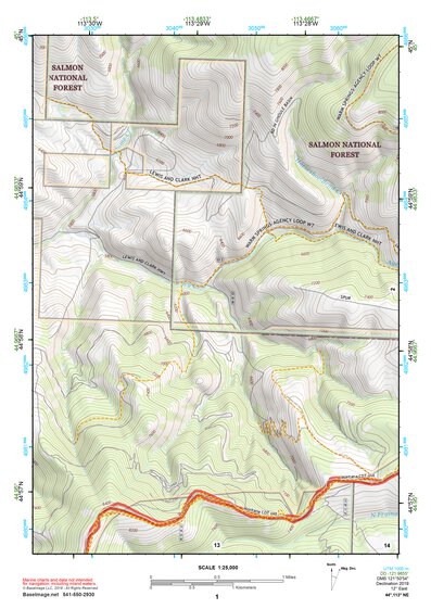44113NE Page 1 Leadore Topo Preview 1