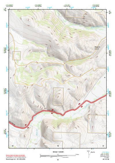 44113NE Page 4 Leadore Topo Preview 1