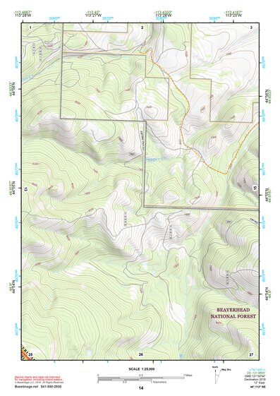 44113NE Page 14 Leadore Topo Preview 1