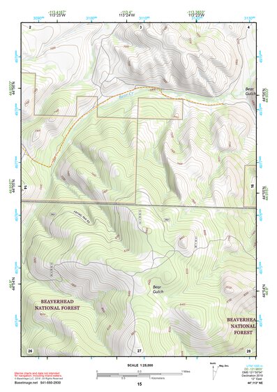 44113NE Page 15 Leadore Topo Preview 1