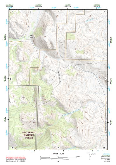 44113NE Page 16 Leadore Topo Preview 1